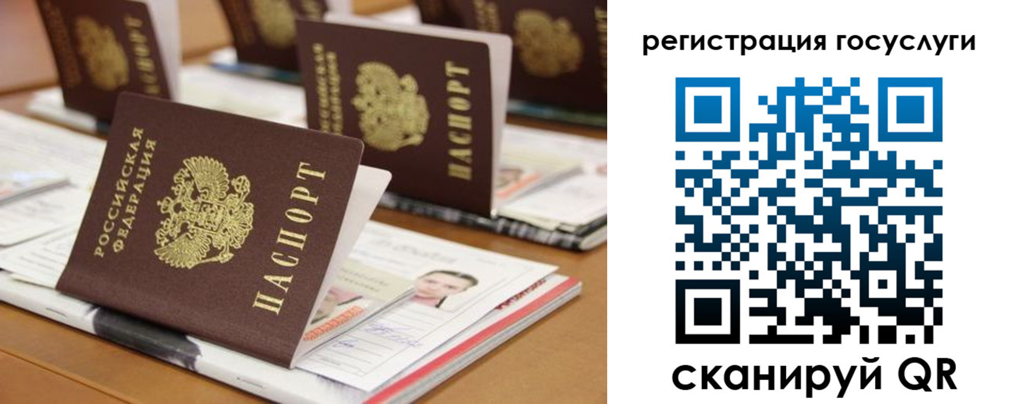 временная регистрация недорого в Донском